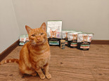 Purina Pro Plan Sterilised z kaczką dla kota 12x85g