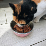 Purina Pro Plan Senior Longevis kotów mus z tuńczykiem 12x85 g Purina Pro Plan Senior Longevis kotów mus z tuńczykiem 12x85 g