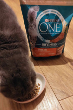 PURINA ONE Bifensis Sterilcat Karma dla kotów bogata w łososia 800g