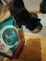 PURINA ONE Bifensis Sterilcat Karma dla kotów bogata w łososia 800g PURINA ONE Bifensis Sterilcat Karma dla kotów bogata w łososia 800g