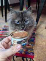 Purina Pro Plan Senior Longevis kotów mus z tuńczykiem 24x85 g Purina Pro Plan Senior Longevis kotów mus z tuńczykiem 24x85 g