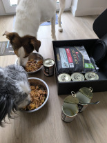 PRO PLAN Everyday Nutrition Adult Karma dla psów bogata w indyka w galaretce 6x400g