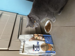 PURINA Cat Chow Special Care 3w1 - 15kg + niespodzianka dla kota GRATIS!