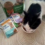 CAT CHOW Sensitive Karma dla kotów z łososiem i cukinią w sosie 85g CAT CHOW Sensitive Karma dla kotów z łososiem i cukinią w sosie 85g