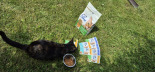 CAT CHOW Sensitive Karma dla kotów z łososiem i cukinią w sosie 85g CAT CHOW Sensitive Karma dla kotów z łososiem i cukinią w sosie 85g