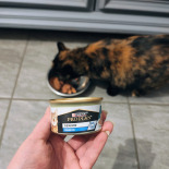 PRO PLAN Adult Wilgotny pasztet z kurczakiem Mokra karma dla kota 85g PRO PLAN Adult Wilgotny pasztet z kurczakiem Mokra karma dla kota 85g