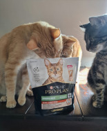 PRO PLAN Sterilised Vital Functions Karma dla kotów bogata w łososia 10kg PRO PLAN Sterilised Vital Functions Karma dla kotów bogata w łososia 10kg