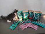 Purina One Cat Sterilcat Karma z wołowiną dla kota 800g