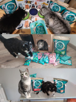 Purina One Cat Sterilcat Karma z wołowiną dla kota 800g