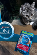 Purina One Sterilcat mix smaków 12x85g