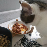 PURINA Cat Chow Sterilised Karma z indykiem 15kg 