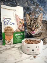 PURINA Cat Chow Sterilised Karma z indykiem 15kg 