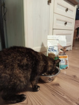 PURINA Cat Chow Sterilised Karma z indykiem 1,5kg