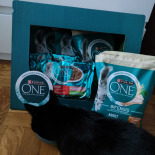 Purina One Cat Adult Karma z kurczakiem dla kota 1,5kg