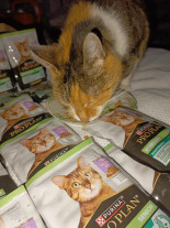 Purina Pro Plan Sterilised Senior z indykiem dla kota 26x85g