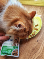 CAT CHOW Sterilised Karma dla kotów z kurczakiem i bakłażanem w sosie 26x85g