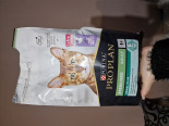 PRO PLAN Sterilised Renal Karma dla kotów bogata w indyka 10kg