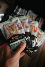 PRO PLAN Sterilised Renal Karma dla kotów bogata w indyka 10kg