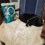 Purina One Cat Coat & Hairball Karma dla kotów z kurczaka 800g