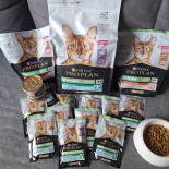 Purina Pro Plan Sterilised z kaczką dla kota 26x85g