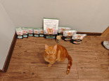 Purina Pro Plan Sterilised z kaczką dla kota 26x85g