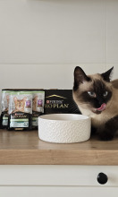 Purina Pro Plan Sterilised z kaczką dla kota 26x85g Purina Pro Plan Sterilised z kaczką dla kota 26x85g