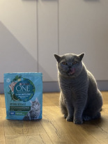 PURINA ONE DualNature Natural Defense Adult Karma dla dorosłych kotów indyk 750g