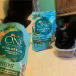 PURINA ONE DualNature Natural Defense Adult Karma dla dorosłych kotów indyk 750g