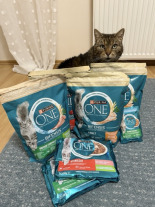 Purina One Sterilcat z indykiem i zieloną fasolką 85g