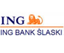 ING Bank Śląski ikona banku