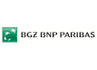 BNP Paribas ikona banku