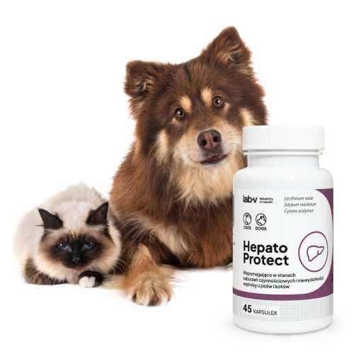 Lab v Hepato Protect Wspomaganie Funkcji W troby Dla Ps w I Kot w 45 Lab v Hepato Protect Wspomaganie Funkcji W troby Dla Ps w I Kot w 45