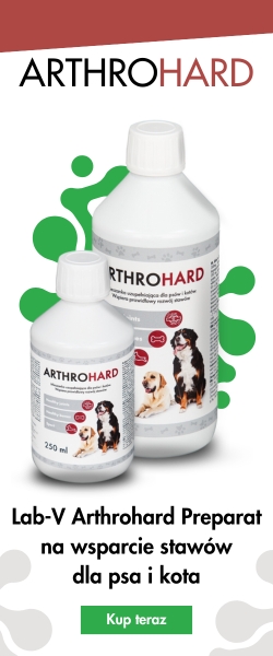 Arthrohard - 01.08.2023