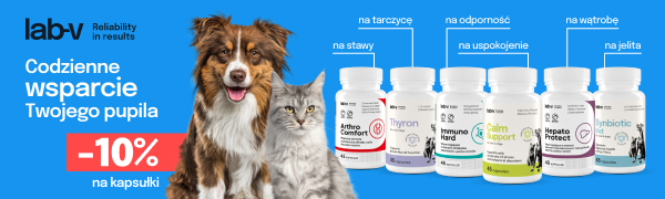 Lab-v kapsułki -10%