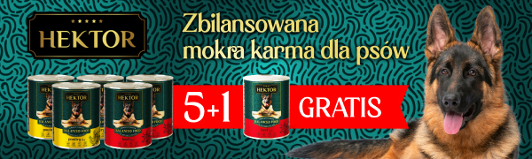 Hektor - 5+1 23-01-2026