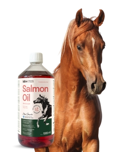 Lab-v Salmon Oil – 100% olej z łososia atlantyckiego dla koni 3x1000 ml