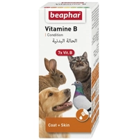 VITAMIN B COMPLEX 50ML - zestaw witamin B