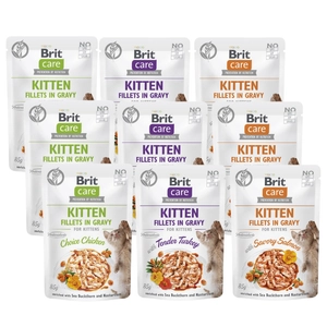 BRIT CARE Cat Kitten Fillets in Gravy Mix Smaków with Sea Buckthorn and Nasturtium 9x85g