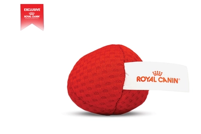 Royal Canin piłka dla kota