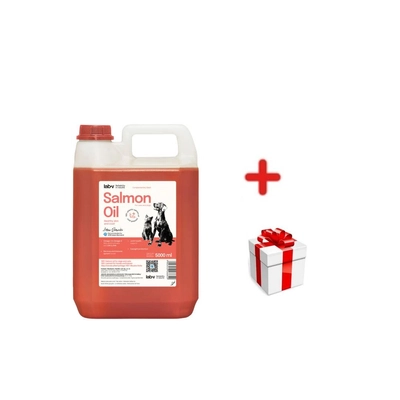 Lab-V Olej z Łososia 100% Dla Psa i Kota w Każdym Wieku 5000 ml Tłoczony Na Zimno + NIESPODZIANKA DLA KOTA GRATIS!