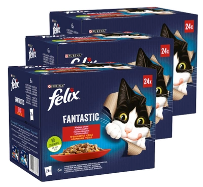 FELIX Fantastic Wiejskie Smaki w galaretce: 72x85g