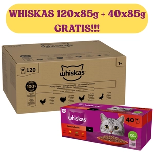 Whiskas Drobiowa Uczta 120x85g w Galaretce + WHISKAS Adult 40x85g Klasyczne Posiłki