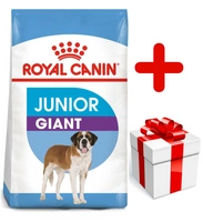 ROYAL CANIN Giant Junior 15kg karma sucha dla szczeniąt  od 8 do 18/24 miesiąca życia, ras olbrzymich + niespodzianka dla psa GRATIS!