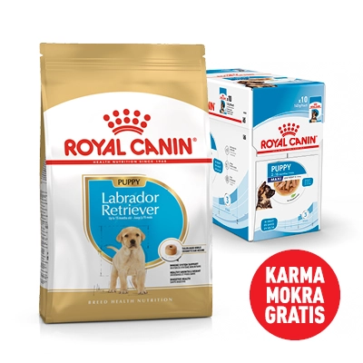 ROYAL CANIN Labrador Retriever Puppy 12kg karma sucha dla szczeniąt do 15 miesiąca, rasy labrador retriever+Karma mokra GRATIS!