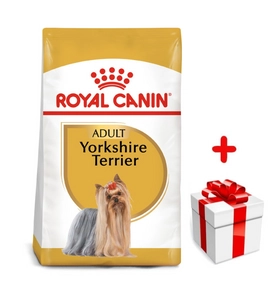 ROYAL CANIN Yorkshire Terrier Adult 1,5kg karma sucha dla psów dorosłych rasy yorkshire terrier + niespodzianka dla psa GRATIS!