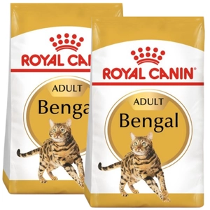 ROYAL CANIN Bengal Adult 2x10kg karma sucha dla kotów dorosłych rasy bengal