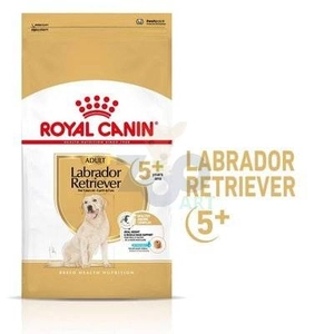 ROYAL CANIN Labrador Retriever Adult 5+ 12kg karma sucha dla psów dorosłych rasy Labrador Retriever, powyżej 5 roku życia