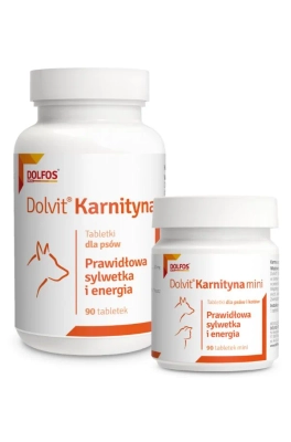 Dolvit Karnityna 90 tabletek