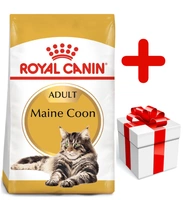 ROYAL CANIN Maine Coon Adult 10kg + niespodzianka dla kota GRATIS!