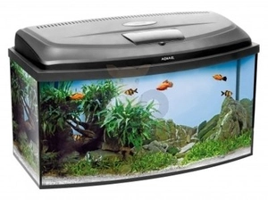  AQUAEL Zestaw Akwarystyczny Classic Box 60/O D&N